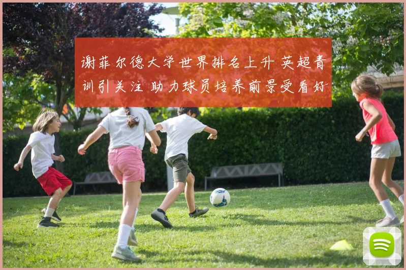 谢菲尔德大学世界排名上升 英超青训引关注 助力球员培养前景受看好