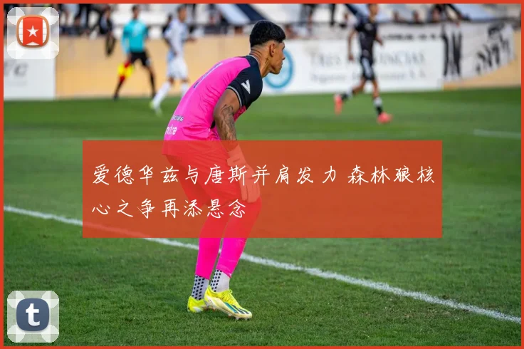 爱德华兹与唐斯并肩发力 森林狼核心之争再添悬念