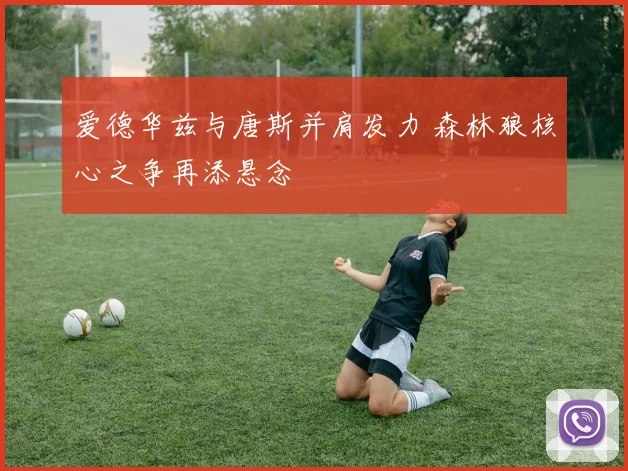 爱德华兹与唐斯并肩发力 森林狼核心之争再添悬念