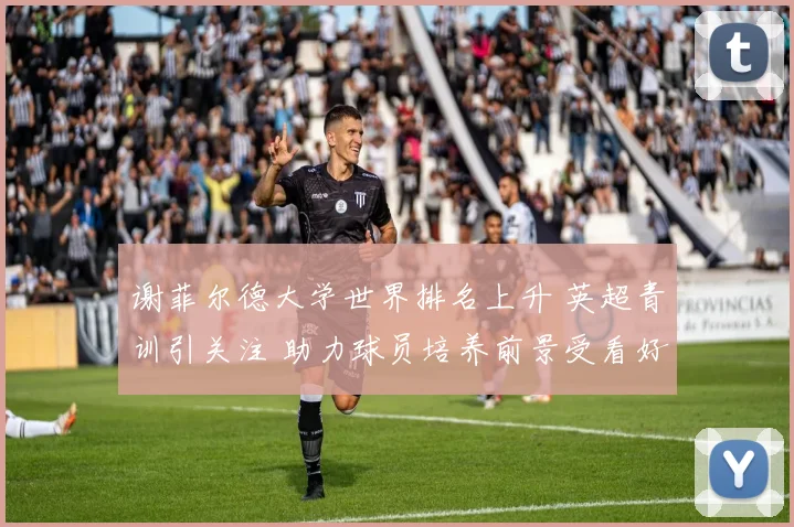 谢菲尔德大学世界排名上升 英超青训引关注 助力球员培养前景受看好