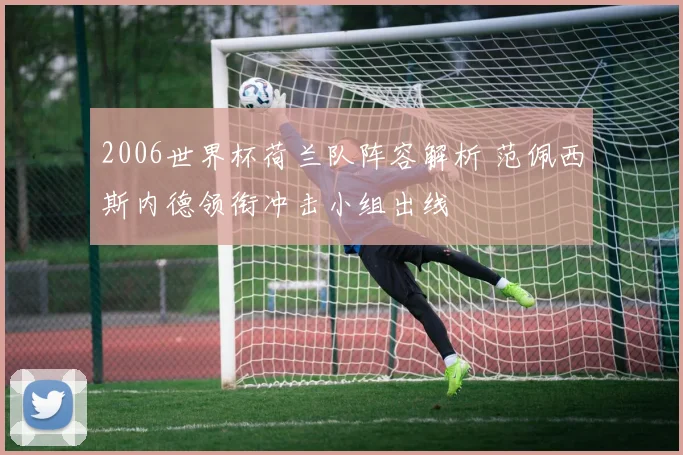 2006世界杯荷兰队阵容解析 范佩西斯内德领衔冲击小组出线