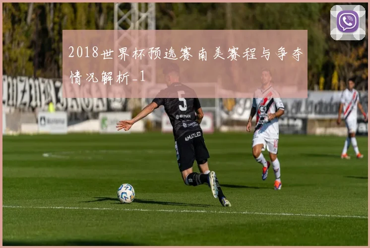 2018世界杯预选赛南美赛程与争夺情况解析_1