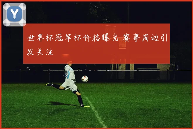 世界杯冠军杯价格曝光 赛事周边引发关注
