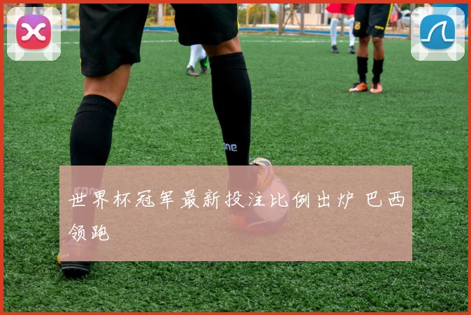 世界杯冠军最新投注比例出炉 巴西领跑