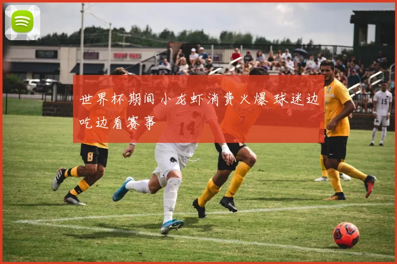 世界杯期间小龙虾消费火爆 球迷边吃边看赛事