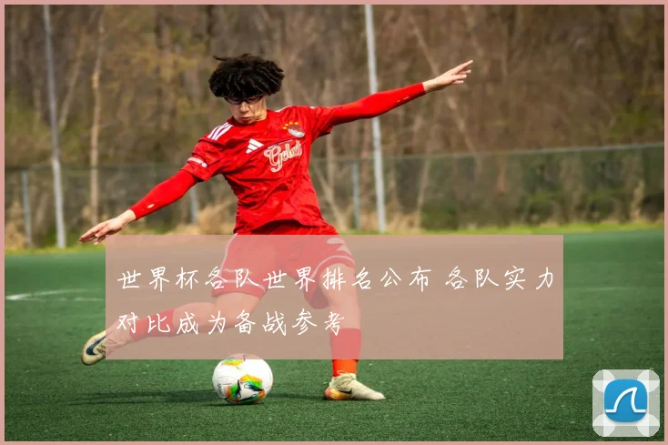 世界杯各队世界排名公布 各队实力对比成为备战参考