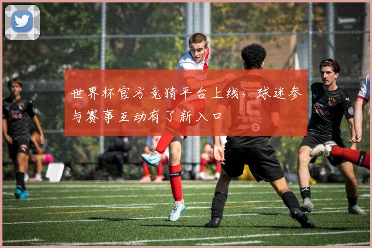世界杯官方竞猜平台上线，球迷参与赛事互动有了新入口