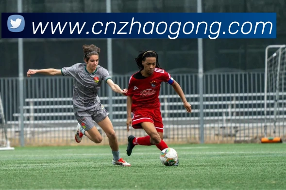 买球官方平台生态图